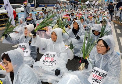 From the frying pan to the fire: green onions ignite voter anger in South Korea’s elections
