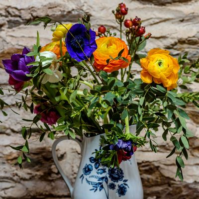 This is what professional florists do to perk up droopy cut flowers