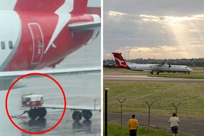 “That’s The Risk You Take”: Footage Of Pet Crates Left In Rain On Tarmac Sparks Heated Debate
