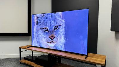 Best Dolby Vision TVs 2024: amazing HDR picture quality at budget to premium prices