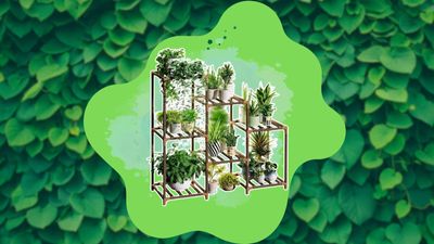 This "impressive" indoor plant stand shelf has been scooped up 3,000 times in April alone and has 7,000+ 5-star ratings