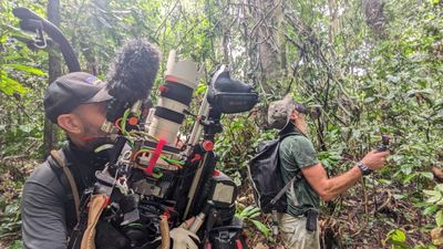 Doc DP Relies on Sachtler to Tame ‘Wilderness’