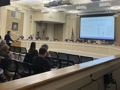 Lexington council members get briefed on humane pet sales ordinance proposal