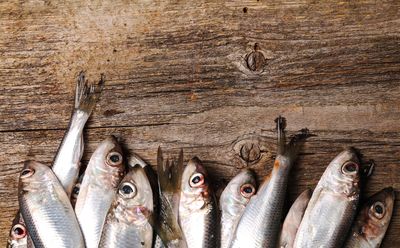 Swapping Red Meat With Forage Fish Could Prevent 750,000 Deaths Annually In 2050: Study