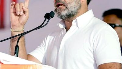 Rahul Gandhi slams BJP, says history doesn't change by "spewing lies" from political platforms