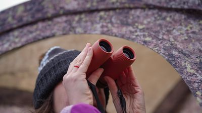 Nocs Provisions Field Issue 10x32 review: rugged binoculars for the next generation