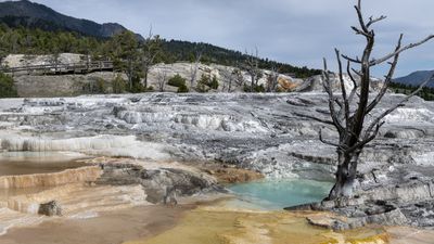 Can you see what's wrong in this video of a hiker at Yellowstone National Park? Look closely...