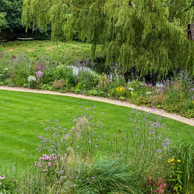 Why is my lawn turning yellow? Experts explain how to return it to a vibrant green