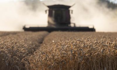 UK farmers: how has the weather affected food production?