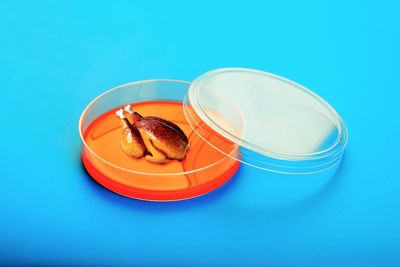Why the delay on lab-grown meat?