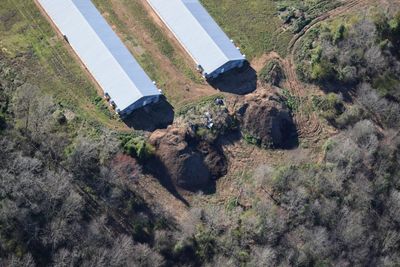 North Carolina allows manure mounds ‘as big as a house’ on factory farms