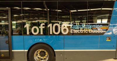 'Blatant lie': Electric bus ad says there are 106 but there's a big problem