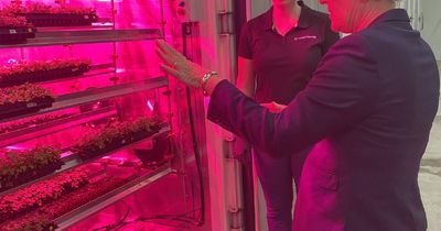 Hunter vertical farming business helps lower the cost of living