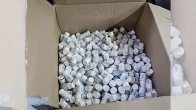 Xanax worth $12 million seized in largest NSW bust