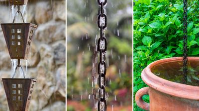 What is a rain chain? Experts explain the benefits behind the on-trend garden tool