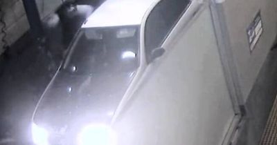 CCTV shows serial robber's 'frantic' car wash machete attack