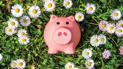 Why Spring Is A Good Time To Clean Your Financial House