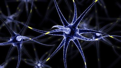 Newfound genetic variant that causes Parkinson’s shows a way to beat it