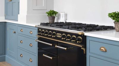 Experts reveal how to extend your range oven's lifespan – and share tips for keeping yours clean