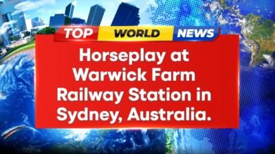 Horseplay On Train Platform Captured In Bizarre Video