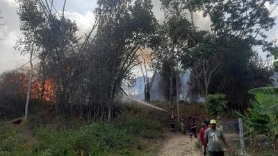 Close to 100 hectares of forest in Wayanad Wildlife Sanctuary gutted in fire