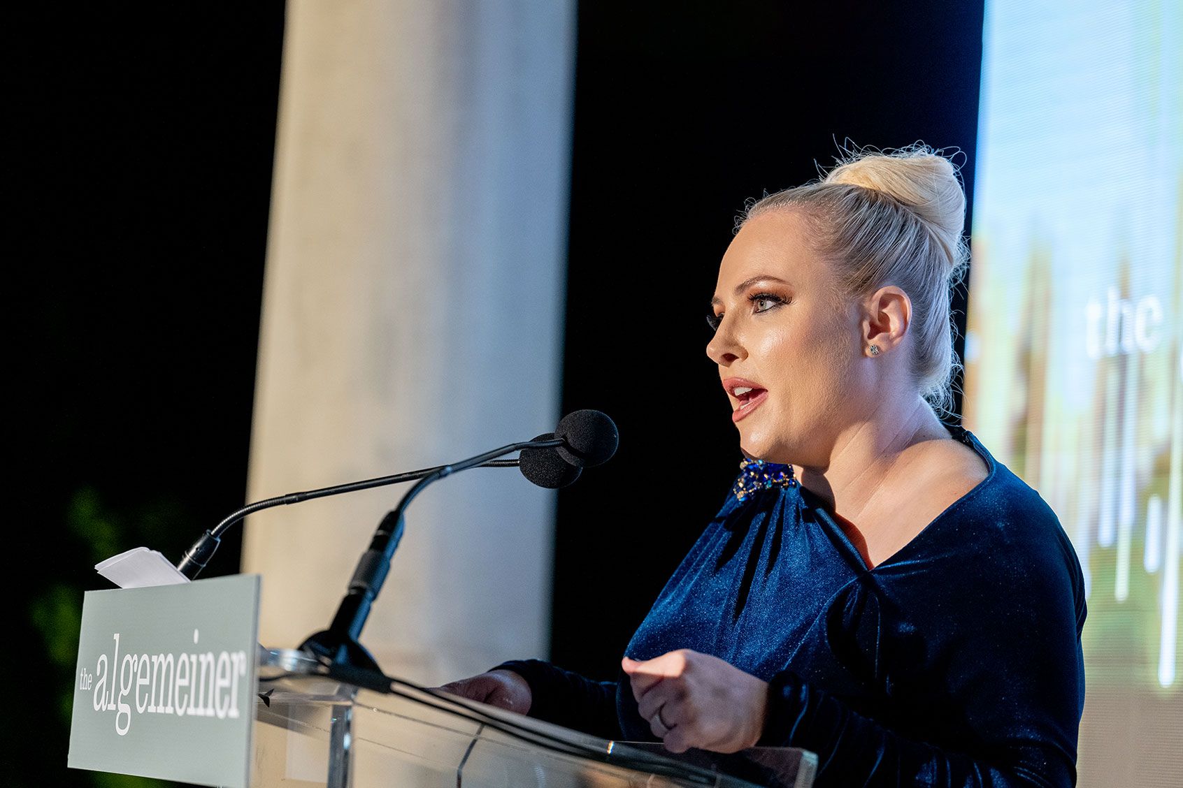Meghan McCain Labels The View 'Undisciplined' Following JD Vance Interview