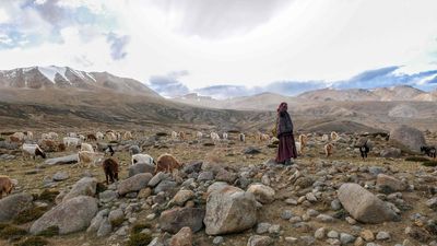 A battle to save Ladakh, and all of humanity