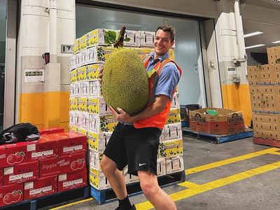 Jacked jackfruit: Queensland farmer finds ‘pretty impressive’ 45kg giant