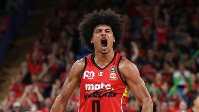 Mixed NBL fortunes for Webster brothers at Wildcats