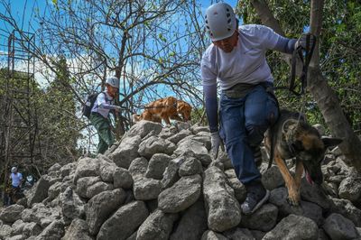 Philippines Trains Pet Dogs For Search And Rescue