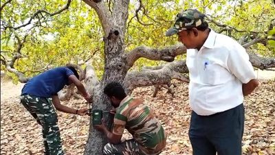Elusive leopard sneaks into Ariyalur district; spotted at Sendurai