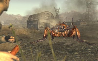 What does the Fallout New Vegas Wild Wasteland trait do?