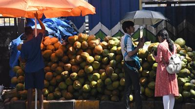 Beating the Heat: Tender coconut, cold beverage and ice cream sales increase in Bengaluru as mercury soars