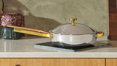 The new Titanium Always Pan Pro from Our Place features brand-new non-stick tech and you need it in your kitchen