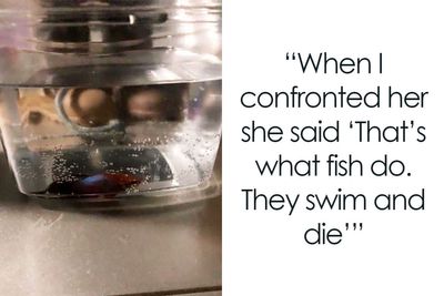 “They Swim And Die”: Aunt Refuses To Apologize For Ending Fish’s Life, Screams When Karma Hits