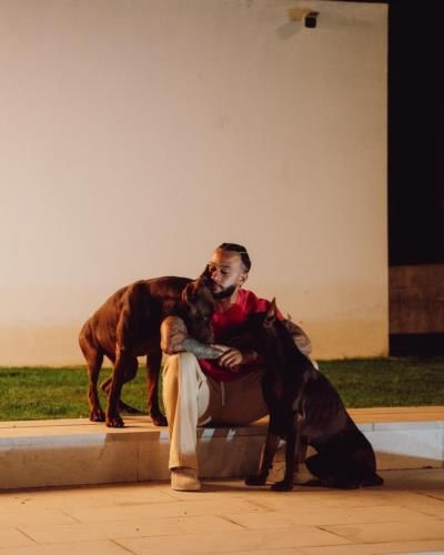 Memphis Depay's Cozy Moments With Beloved Dogs