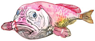 How long do blobfish live for and how are crayons made? Try our kids’ quiz