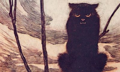 ‘The anti-pet of bourgeois life’: why the world needs big cat energy