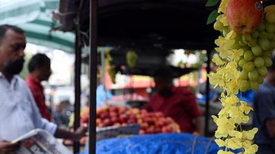 Artificial ‘Kanikonna’ holds sway over Vishu market