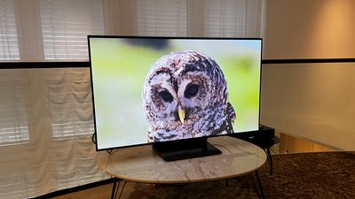 I tried Samsung's new small OLED TV, and it's a winner despite lacking Dolby Vision HDR