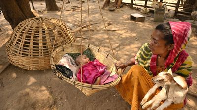 The baby-father ‘cradle bond’ of the Muria tribe