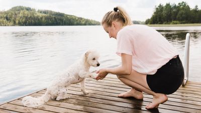 Trainer reveals the secret to a successful training session with your dog — and it's really effective!