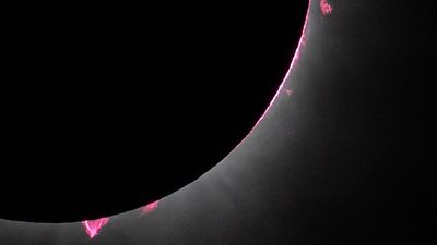 Space photo of the week: NASA spots enormous pink 'flames' during total solar eclipse. What are they?