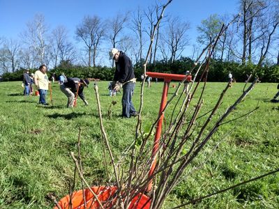 Volunteers plant thousands of seedlings at 25th annual Reforest the Bluegrass in Lexington