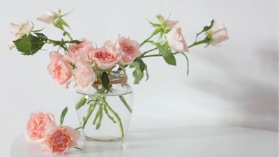 Have you tried putting rose cuttings in water? Experts say it's an easy way to multiply your flowers