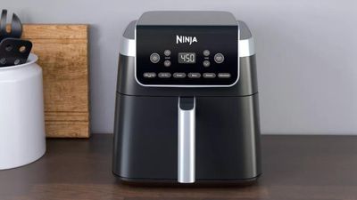 Ninja Air Fryer Pro XL 6-in-1 review — straightforward, easy-to-use, and fast
