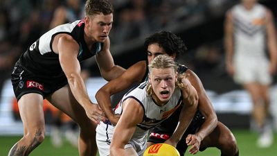 Dockers heed harsh lessons, upbeat for WA derby