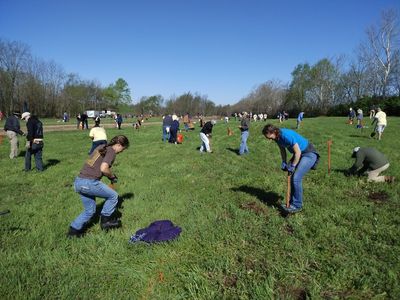 Lexington-based nonprofit has ambitious tree-planting goals, in Kentucky and around the world