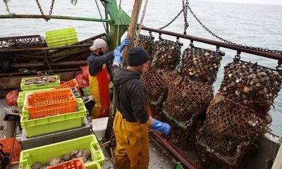 Conservationists condemn France’s protest over UK’s bottom-trawling ban