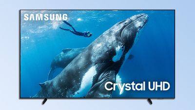 Samsung goes head-to-head with TCL and Hisense with a surprisingly cheap 98-inch TV